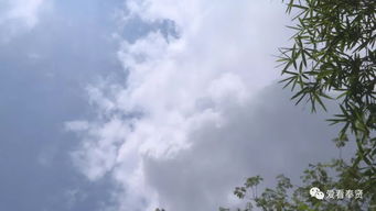 关注 云雀 将为申城带来凉爽 但风雨过后气温仍会持续升高