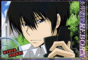 家教白兰或云雀头像