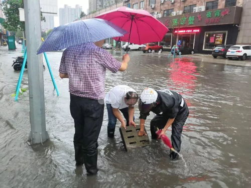 云雀 登陆上海,为什么雨下在浙江 今天一早我们都经历了什么