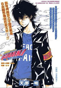 求家庭教师云雀的帅图 要帅酷的哦 精品的都来吧