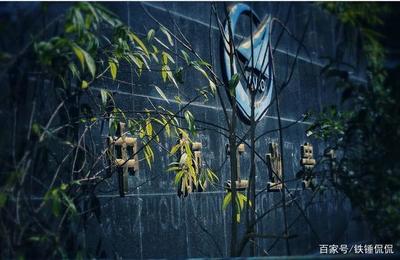 身世坎坷的贵州云雀汽车(1)艰难起步遇贵人,成也富士败也富士