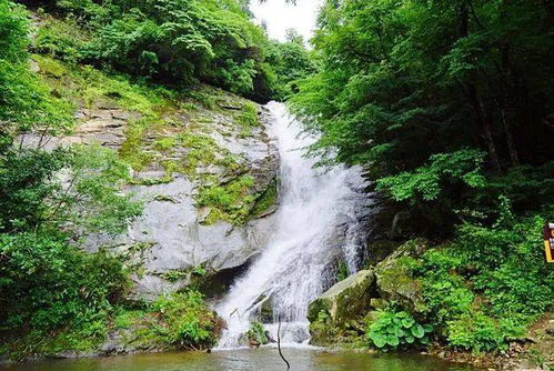 长寿之乡安徽金寨 广西上林 浙江丽水的夏天,绿得发慌