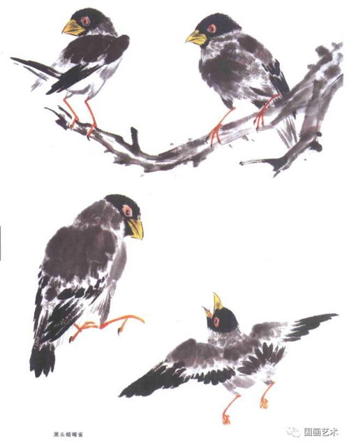 国画写意鸟儿100只,什么形态都有,够用了 学习的好素材