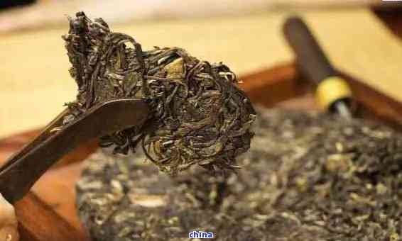 云南特色茶品:探究云雀普洱茶的独特魅力与品质