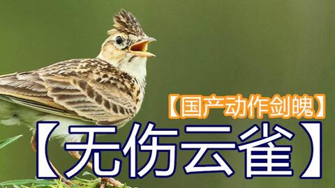 单命击败云雀以及坤离